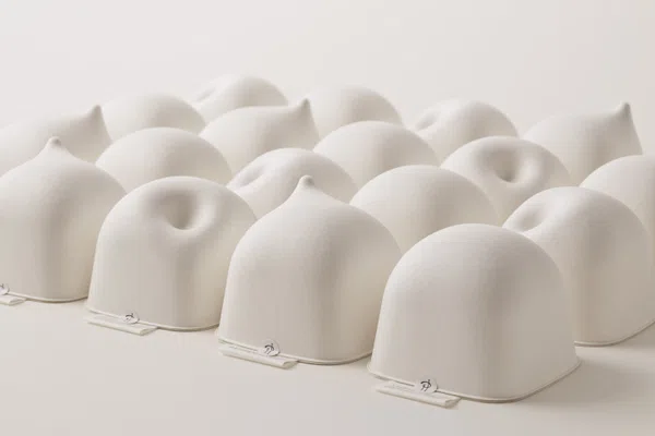 ピエール・エルメ / 「イスパハン」パッケージ