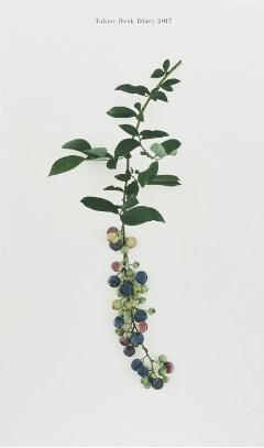 竹尾デスクダイアリー：花の色・実の色・紙の色