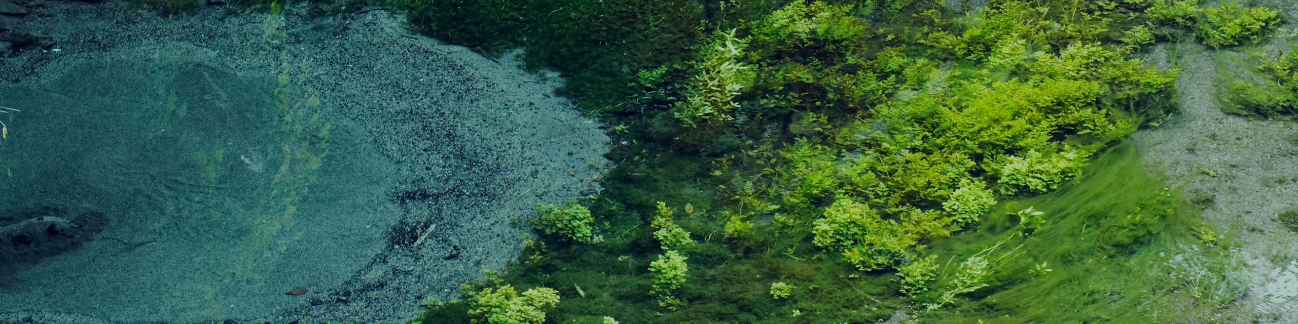 SUSTAINABILITY サステナビリティ