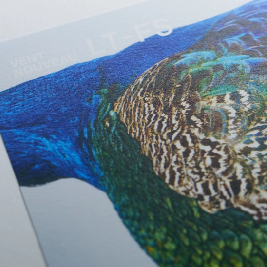 デジタル印刷用紙